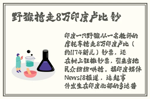 最好看2019高清中文字幕